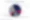College Graduation Statistics - college graduation statistics 2